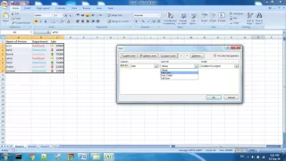 Custom Sort By Cell Icon in Excel 2007