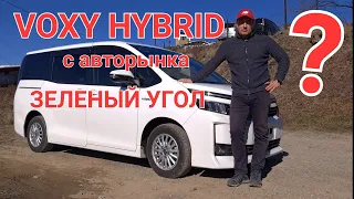 Микроавтобус Voxy Hybrid на авторынке Зеленый Угол в 2022 . Стоит ли ее покупать? Полный обзор.