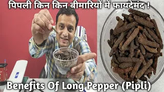 Pipli Kin Kin Bimaariyon Mein Faaydemand | Benefits Of Long Pepper (Pipli)