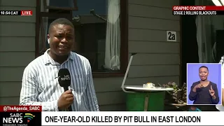 One year old killed by pitbull in East London