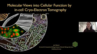 NGBS2020: Imaging Across Scales - Julia Mahamid