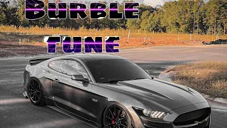 Mustang Gt Burble Tune ! Insane pops by Powerlab Performance!💥