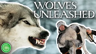 Wolves Unleashed (2011) | Life at -60C