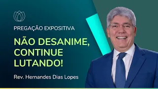 NÃO DESANIME, CONTINUE LUTANDO! | Pregação Expositiva | Rev. Hernandes Dias Lopes | IPP