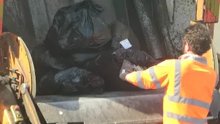 bin day 160420