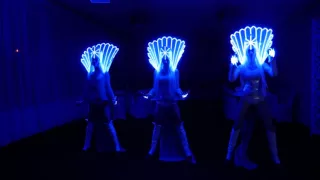 шоу-балет Reverance LED SHOW Пинск