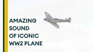 Iconic WW2 Seafire aircraft flies once again