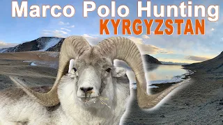 Marco Polo Hunting in Kyrgyzstan // Chasse au Marco Polo au kirghizistan // 2020