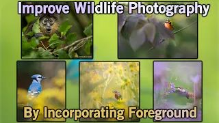 Foreground Wildlife Photography