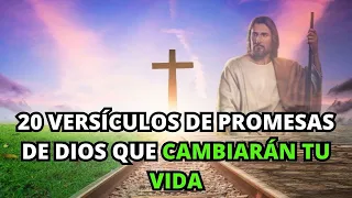 20 Versículos Hermosos de Promesas de Dios que Cambiarán tu Vida | La BIBLIA