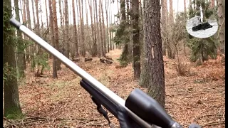 Wild boar hunting in December 2019 - BEST MOMENTS COMPILATION #2