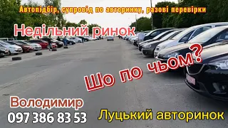 Луцький авторинок. 26.05.24. Недільний ринок