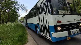 Tapolca ikarus találkozó (2)