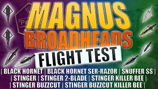 MAGNUS BROADHEADS FLIGHT TEST - 8 TESTED! - STINGER, KILLER BEE, BUZZCUT, SNUFFER, BLACK HORNET