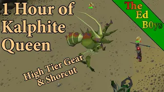 1 Hour of Kalphite Queen Solo | OSRS KQ High Tier Gear Examples