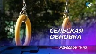 В деревне Бронница появилась новая спортивная площадка, которую придумали сами жители