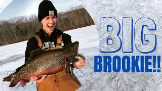 MAINE ICE FISHING- Early Ice Brook Trout COMPETITION