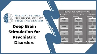 Deep Brain Stimulation for Psychiatric Disorders