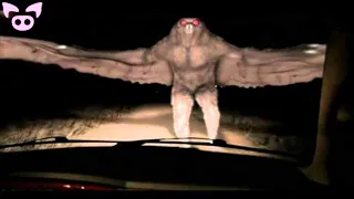 Mothman Sightings Leave Residents on Edge