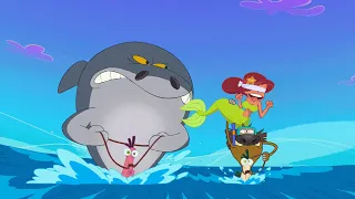 Zig und Sharko 🐴 Das Seepferdchenrennen 🐴 Volledige aflevering in HD