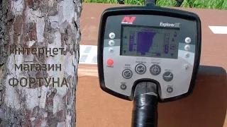 Ремонт Minelab Explorer SE - улучшение стабильности и глубины