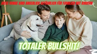 Totaler Bullshit ! Diese Hunde sind angeblich gefährlich für Familien mit Kindern 🤦‍♂️