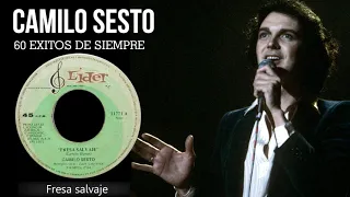 CAMILO SESTO   ♪Fresa salvaje♪