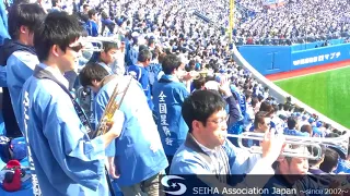 SEIHA Short Video ＃3　～勝利の輝き→桑原選手応援歌~