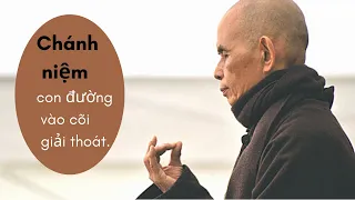 Chánh Niệm - Con Đường Vào Cõi Giải Thoát [Thực Tập Căn Bản Làng Mai] TS Nhất Hạnh