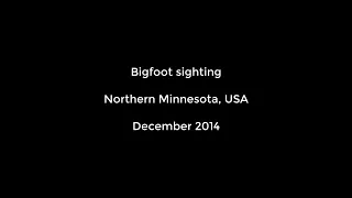 Bigfoot sighting Filmed In Northern Minnesota, USA   2014