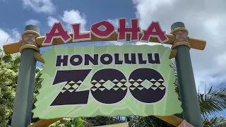 Hawaiian Hawk Fundraising PSA