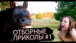 ОТБОРНЫЕ ПРИКОЛЫ 2020 | Ржач до слез, угар, приколы - ПРИКОЛЮХА #1