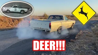 FORGOTTEN Ranchero Pt. 2 BURNOUTS & DEER