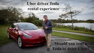 TESLA MODEL 3 RENTALS FOR UBER DRIVERS.  Over $600 profit in 6 days!!!