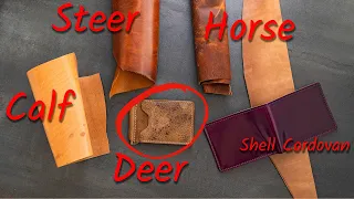 What's Your Favorite Leather? Comparing deer, calf, horse, bovine, shell cordovan