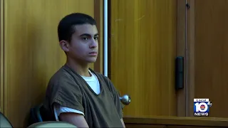 Derek Rosa, 13, stabbed his mother 46 times, lead detective testifies