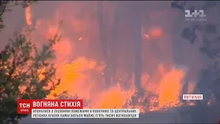 Жахливі лісові пожежі знову охопили Португалію