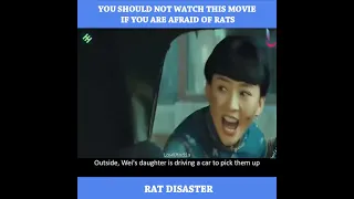You should not watch this movie if you are afraid of rats|movie Review | RAT DISASTER