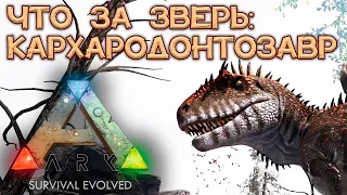 КАРХАРОДОНТОЗАВР! ОБЗОР: как приручить и что умеет // ARK Survival Evolved