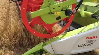 CLAAS LEXION 7500 and CONVIO 930