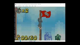 tom and jerry infurnal escape (gba) 100% speedrun 23:09 WR