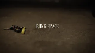 Trunk Space (Short Horror Film)