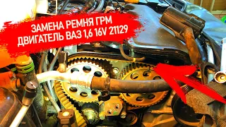 ЗАМЕНА РЕМНЯ РОЛИКОВ ГРМ НА ЛАДА ЛАРГУС ДВИГАТЕЛЬ ВАЗ 1,6 16V 21129 ПОДРОБНАЯ #ВИДЕОЛЕКЦИЯ #ZENICOM