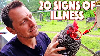20 Signs That Your Chicken Is Sick. You Need To Know Them ALL!