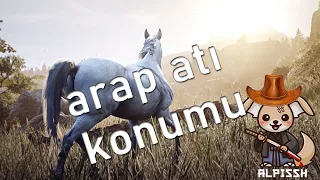 RED DEAD REDEMPTION 2 En Hızlı At Nasıl Elde Edilir?  Arap Atı Konumu