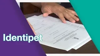 IDENTIPET: registrando seu animal doméstico em cartório | Canal PET