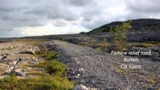 Irish Famine Video - Atlas of the Great Irish Famine-  book