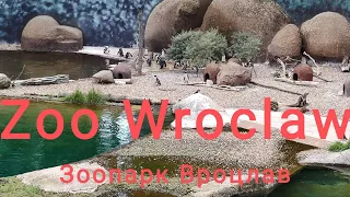 Zoo Wroclaw 2021 [ Зоопарк Вроцлав2021 ] Прогулка Вроцлав