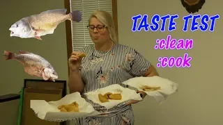 Sheepshead (freshwater drum) Taste Test - How to clean/cook -