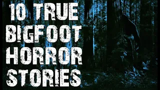 10 TRUE Terrifying Bigfoot & Deep Woods Horror Stories | (Scary Stories)